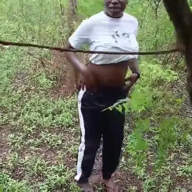 Poo outdoors